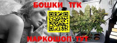 сатива Гай