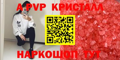 сатива Гай