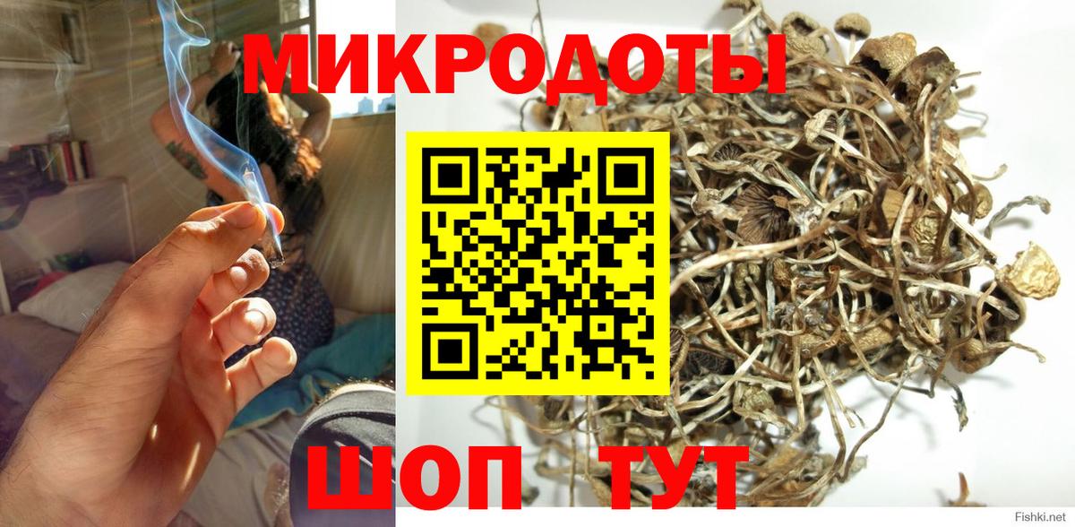 Фролово  Псилоцибиновые грибы Psilocybe  Галлюциногенные грибы мицелий  Вход с VPN 