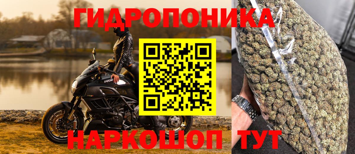 Шишки марихуана конопля  Вход с VPN  Бошки марихуана Ganja  Бошки марихуана LSD WEED  Каннабис семена  Фролово 